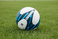 Pro Coach Training Ball - White/Blue